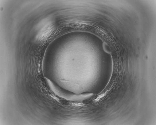X0000087741013200705141219