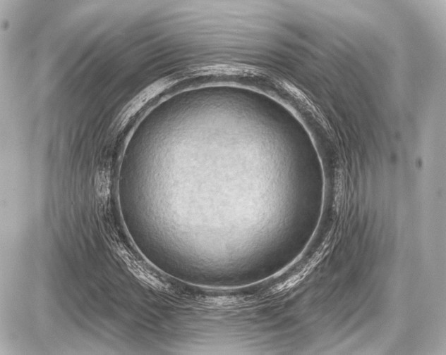 X0000087741017200705141219