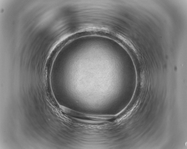X0000087741021200705141219