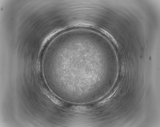 X0000087741027200705141220