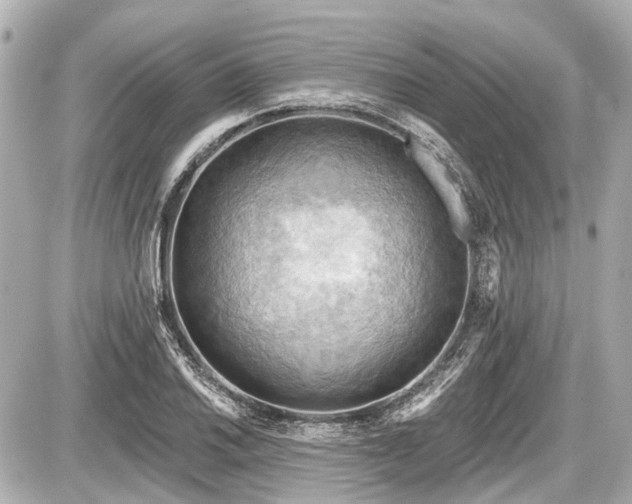 X0000087741030200705141220
