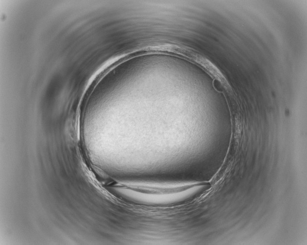 X0000087741036200705141220