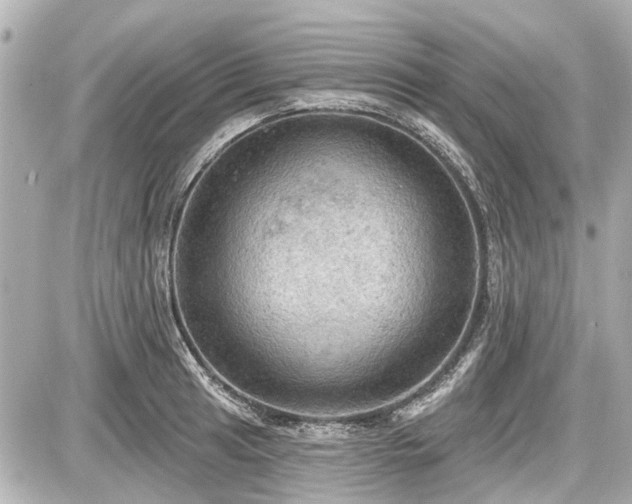 X0000087741041200705141220