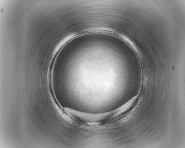 X0000087741050200705141220