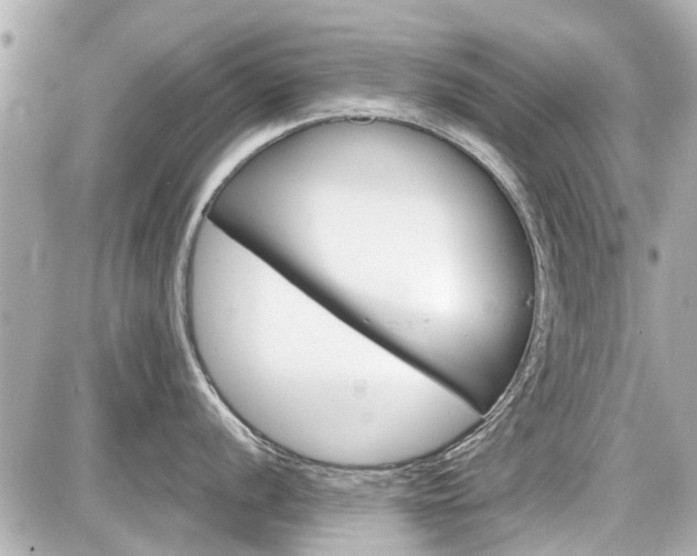 X0000087741056200705141220