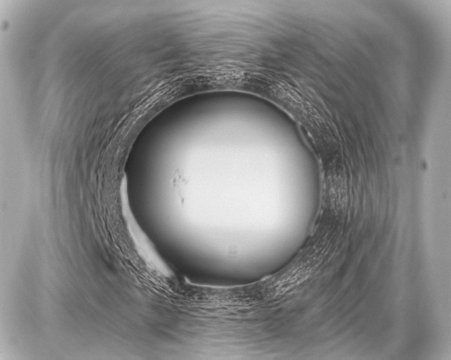 X0000087741057200705141219