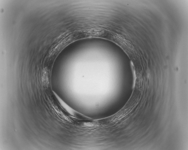 X0000087741058200705141219