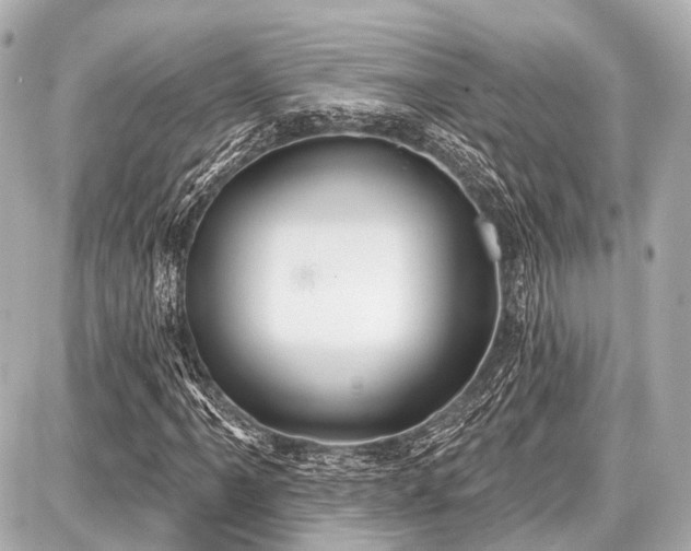 X0000087741061200705141219