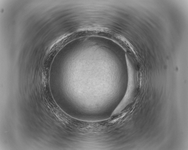 X0000087741064200705141219