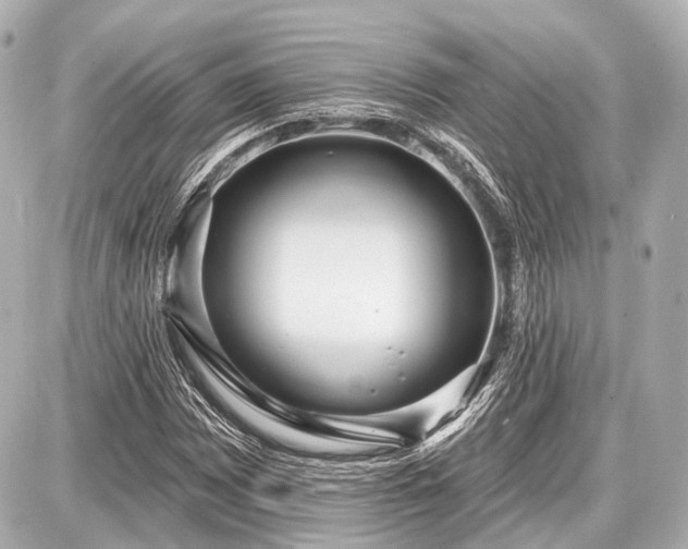 X0000087741065200705141219