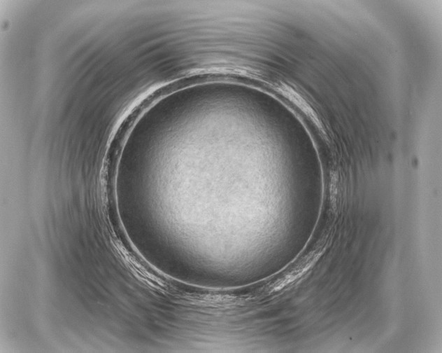 X0000087741068200705141219