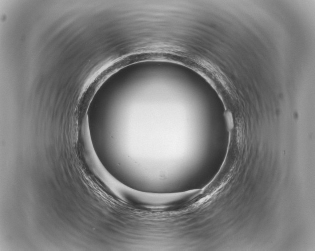 X0000087741069200705141219