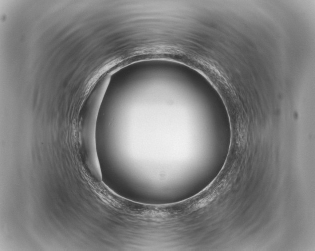 X0000087741073200705141219