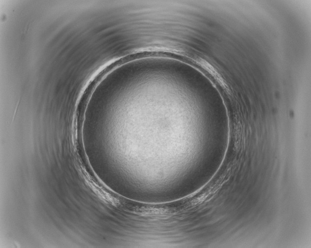 X0000087741076200705141219