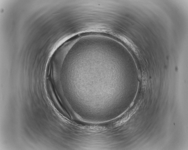 X0000087741077200705141219