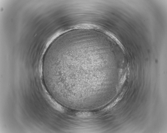 X0000087741083200705141219