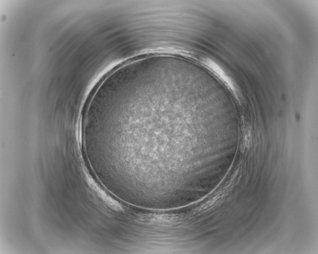 X0000087741084200705141219