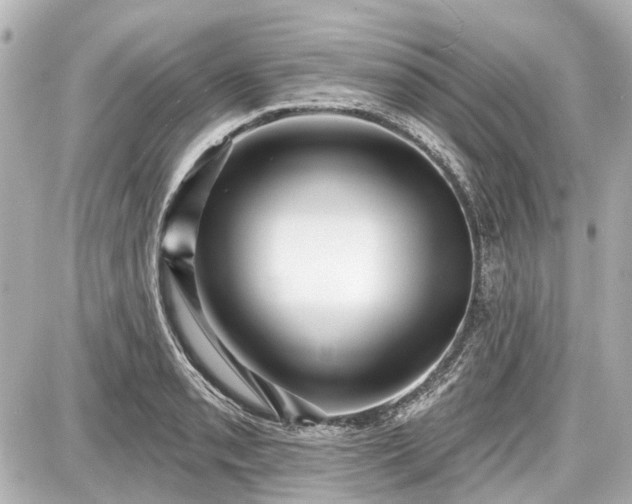 X0000087741085200705141219