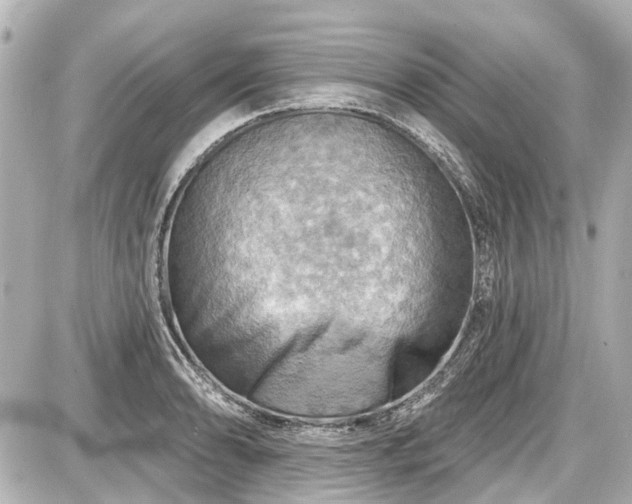 X0000087741086200705141219