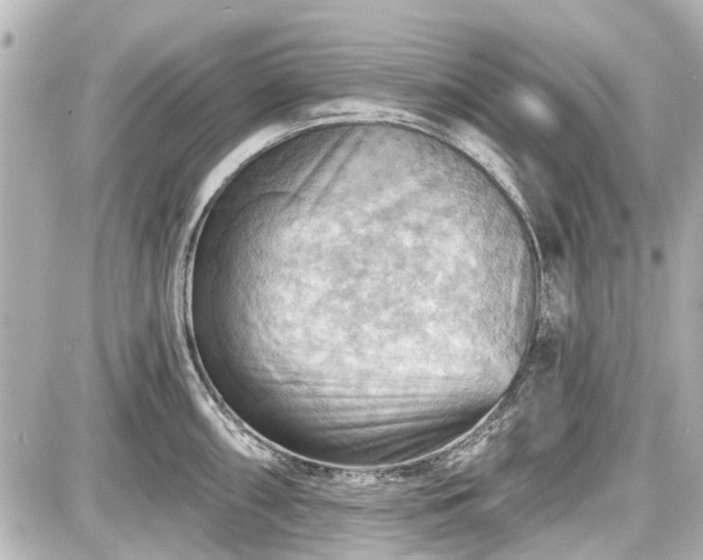 X0000087741098200705141219