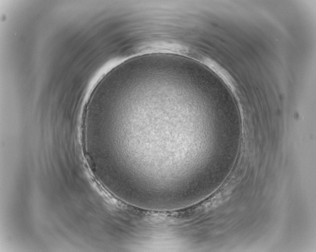 X0000087741104200705141218