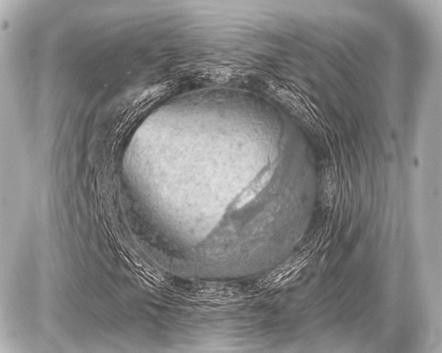 X0000087741105200705141218