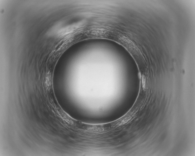 X0000087741107200705141218
