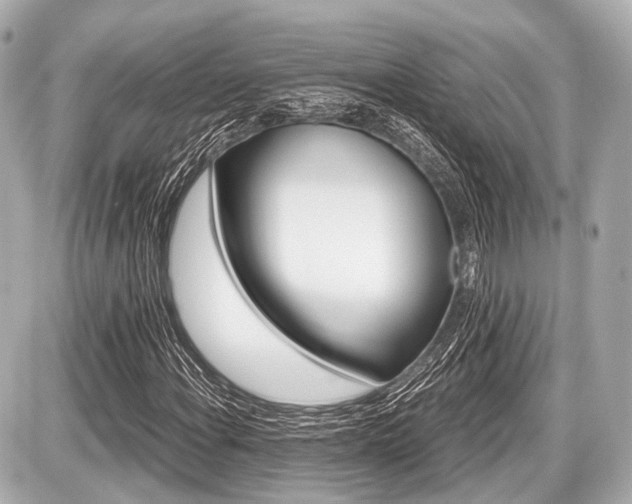 X0000087741108200705141218