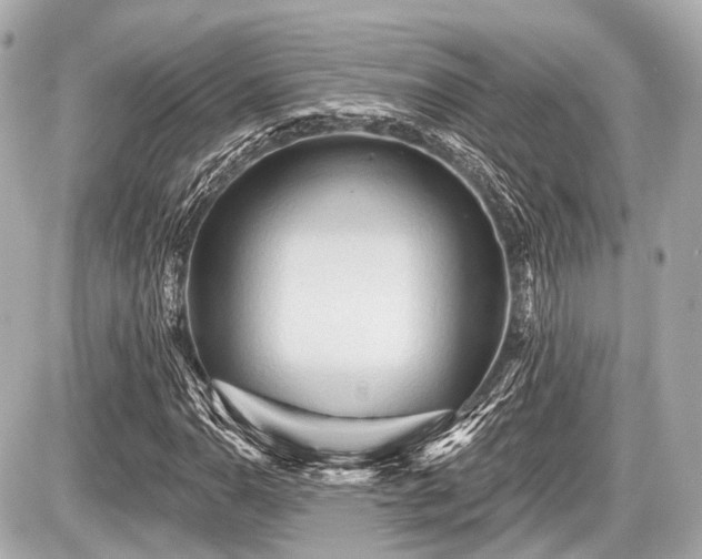 X0000087741110200705141218