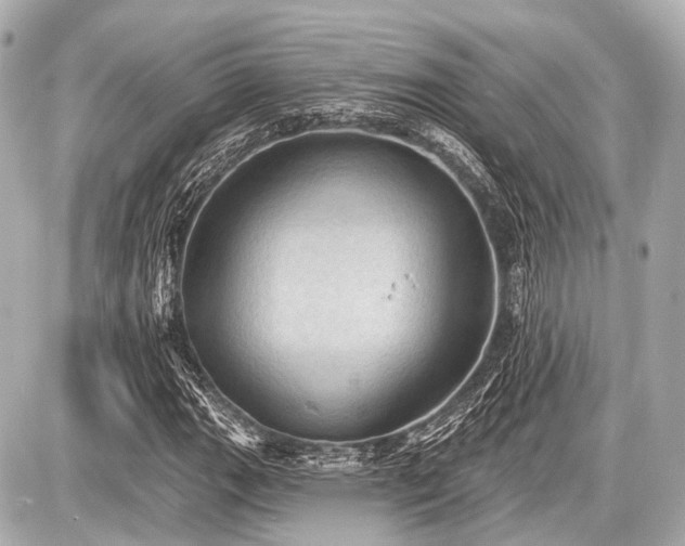 X0000087741111200705141218