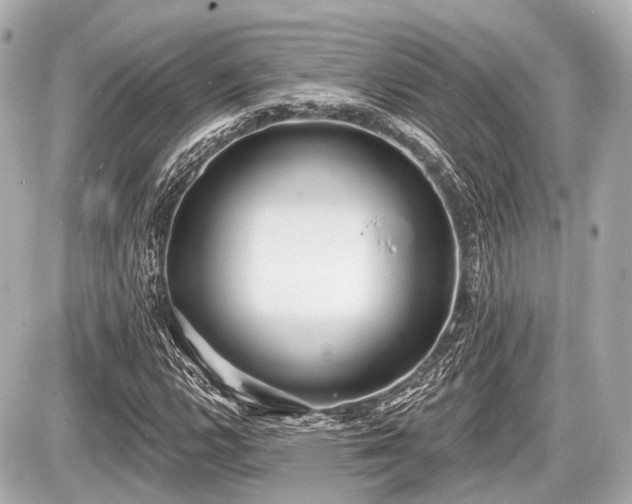 X0000087741112200705141218