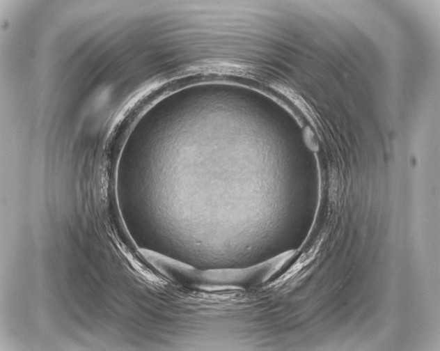 X0000087741115200705141218