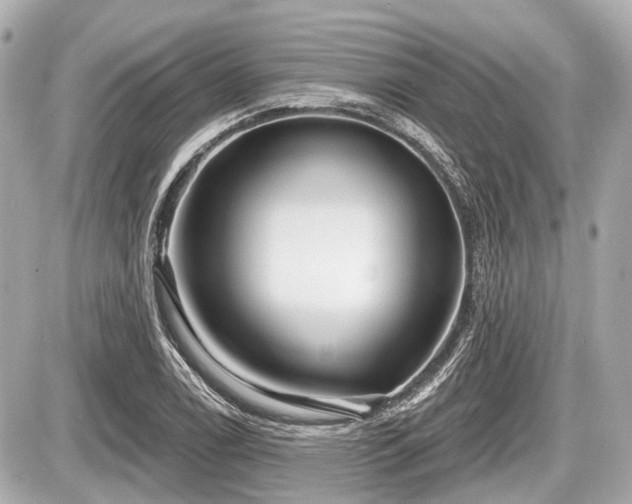 X0000087741122200705141218