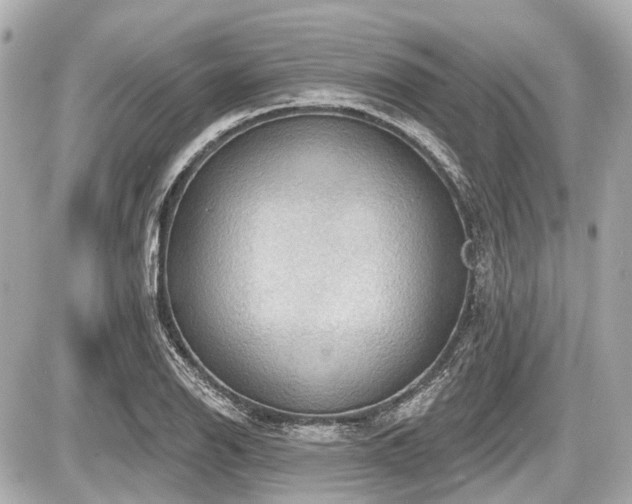 X0000087741126200705141218