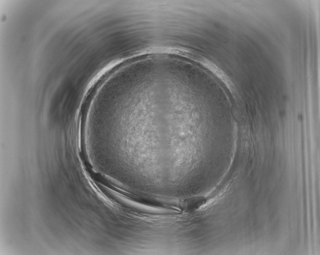 X0000087741127200705141218
