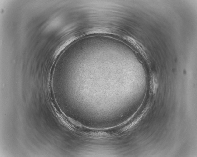 X0000087741129200705141218