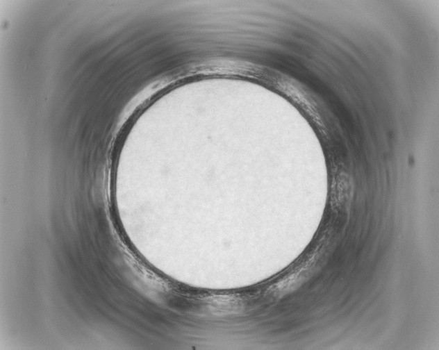 X0000087741130200705141218