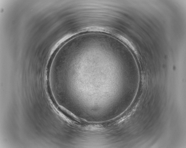 X0000087741133200705141218