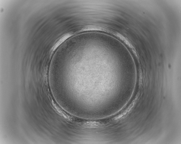 X0000087741137200705141218