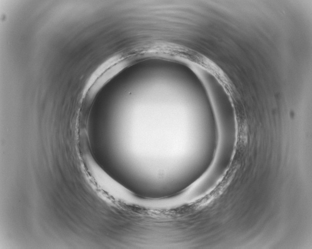 X0000087741138200705141218