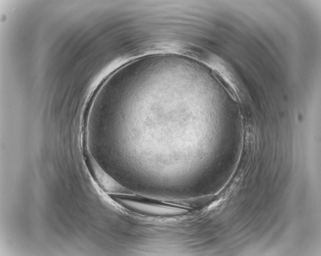 X0000087741143200705141218