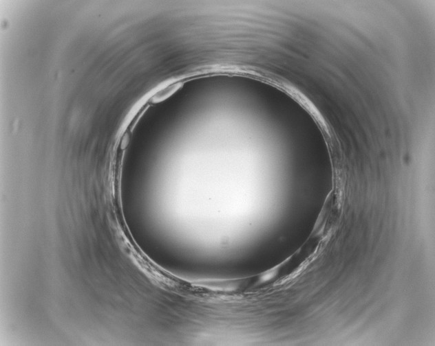 X0000087741148200705141218