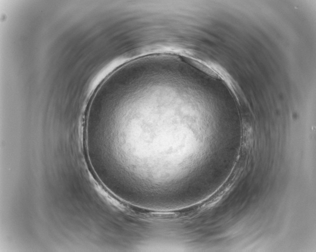 X0000087741151200705141218