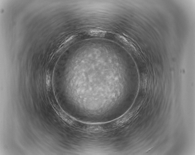 X0000087741154200705141218