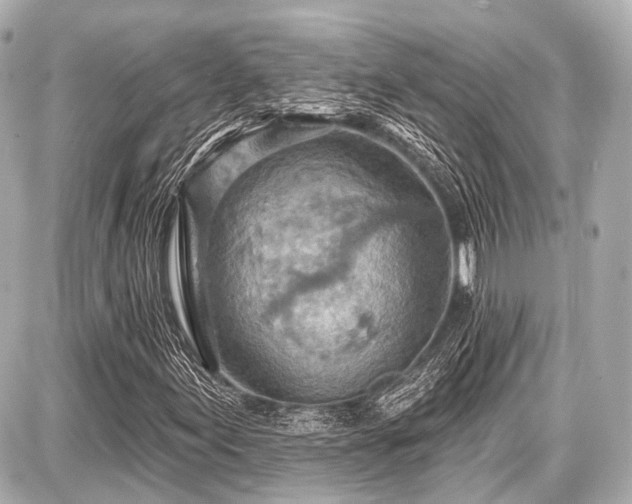 X0000087741155200705141218