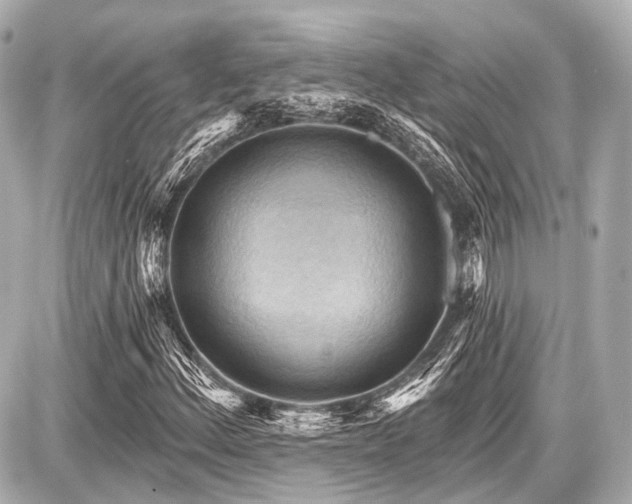 X0000087741156200705141218