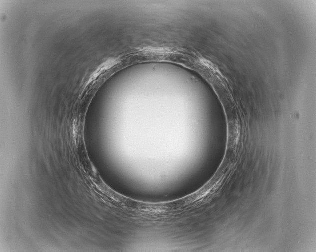 X0000087741157200705141218