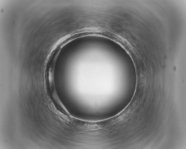 X0000087741168200705141217