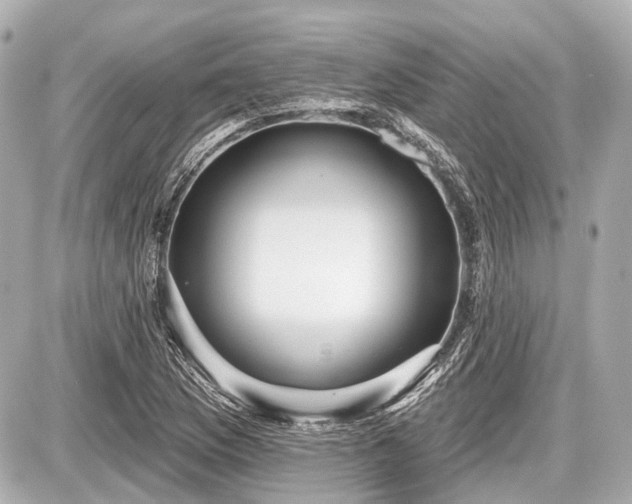 X0000087741169200705141217