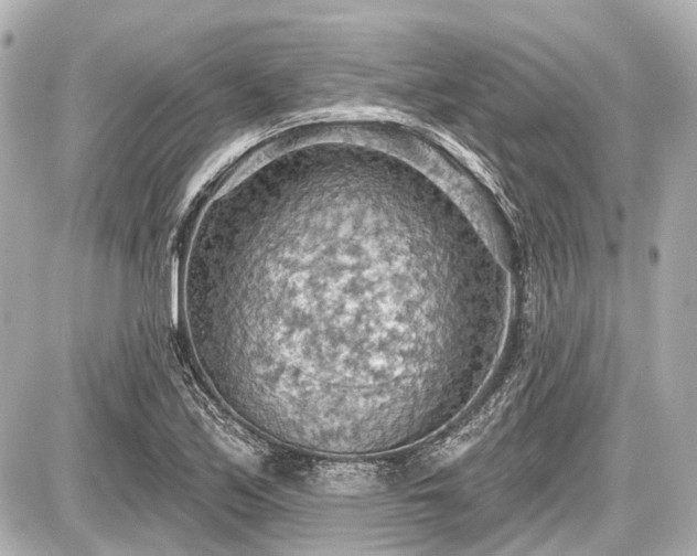 X0000087741171200705141217